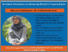 [thumbnail of An Islamic Perspective on Advancing Women's Rights-Rancangan yang sudah dipresentasikan internasional.pdf]