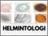 [thumbnail of HELMINTOLOGI (1).pdf]