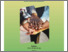 [thumbnail of Chapter 21 Book Chapter PKM  9.pdf]
