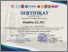 [thumbnail of E Sertifikat Ramadhan Deep Learning_Rosalina, S.T., M.T..pdf]