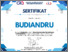 [thumbnail of Sertifikat - Budiandru (1).pdf]