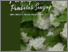[thumbnail of Buku_Perempuan Pembelah Senyap_LSPR Publishing_Cerita Kecil Ttg Keteguhan Besar_0825_compressed.pdf]