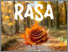 [thumbnail of Buku_Reruntuhan Rasa_1225.pdf]