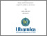 [thumbnail of Hamdi Rubiyanto 2021.pdf]